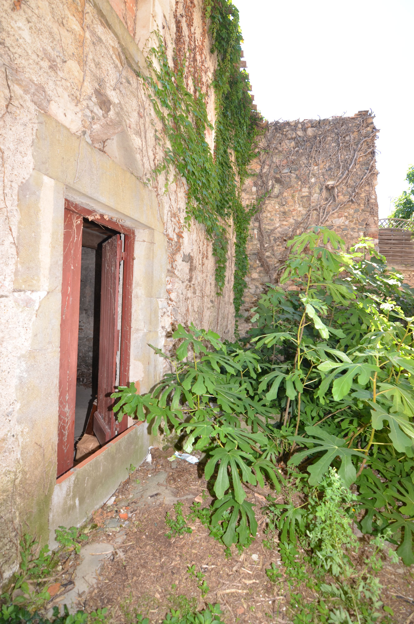 1378CA_small_garden.jpg