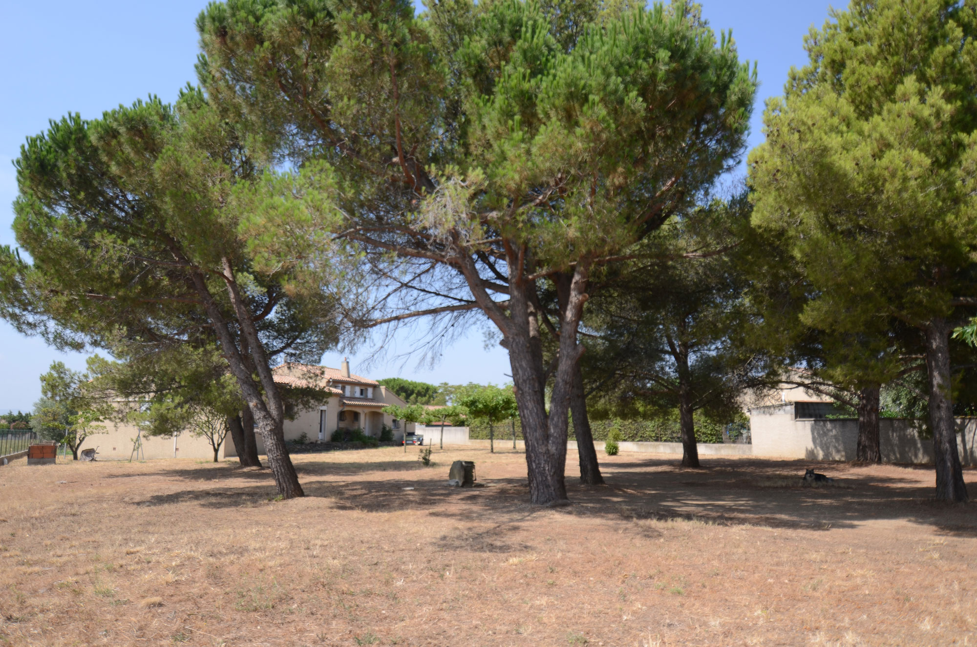 1383CA_terrain_et_maison.jpg
