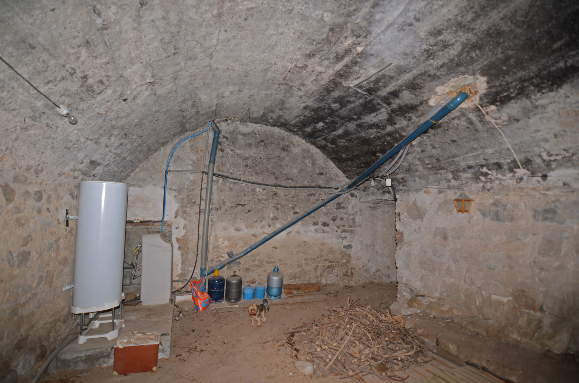 1388BI_cave_avec_plafond_voute.jpg