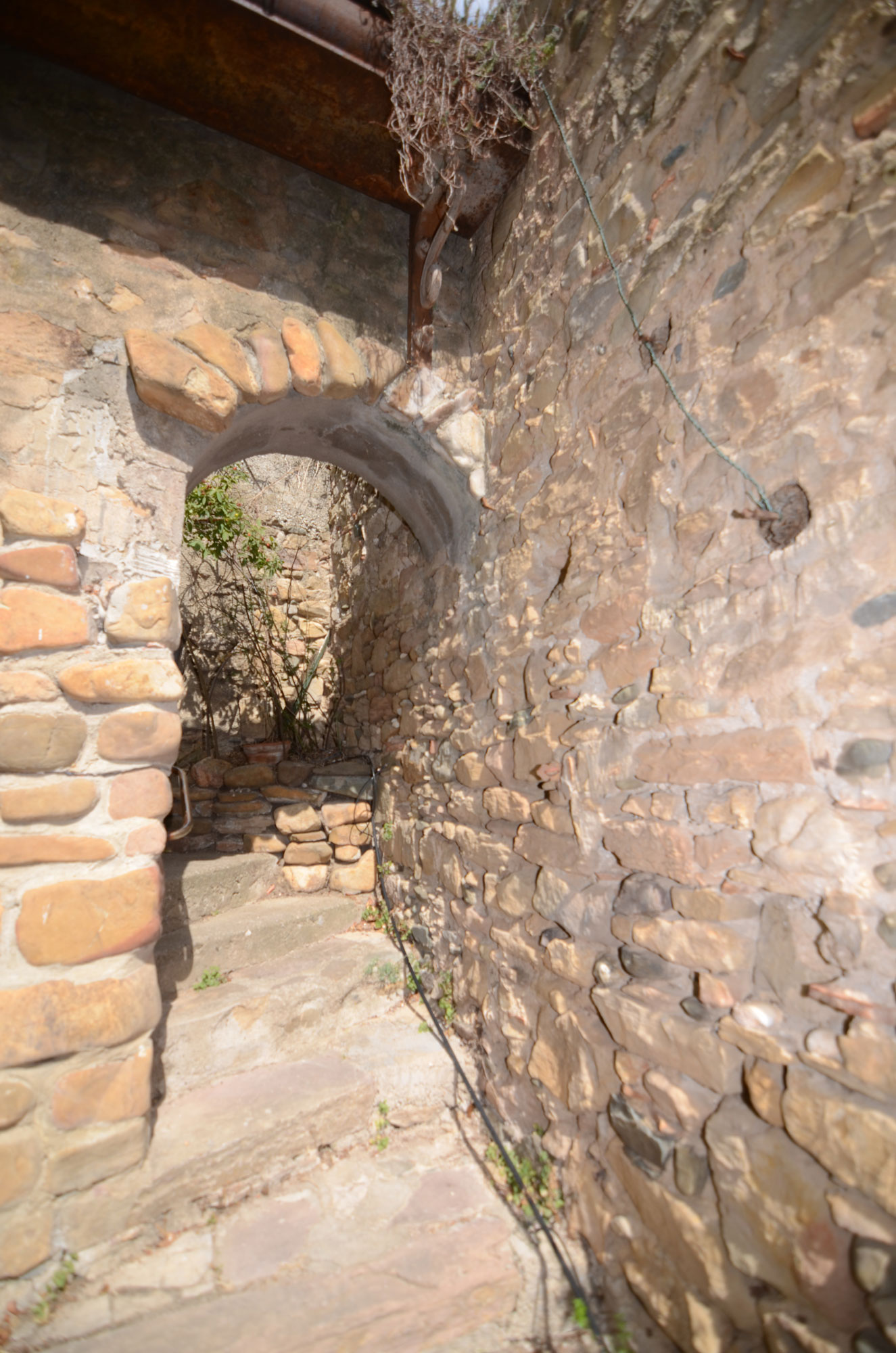 1388BI_detail.jpg