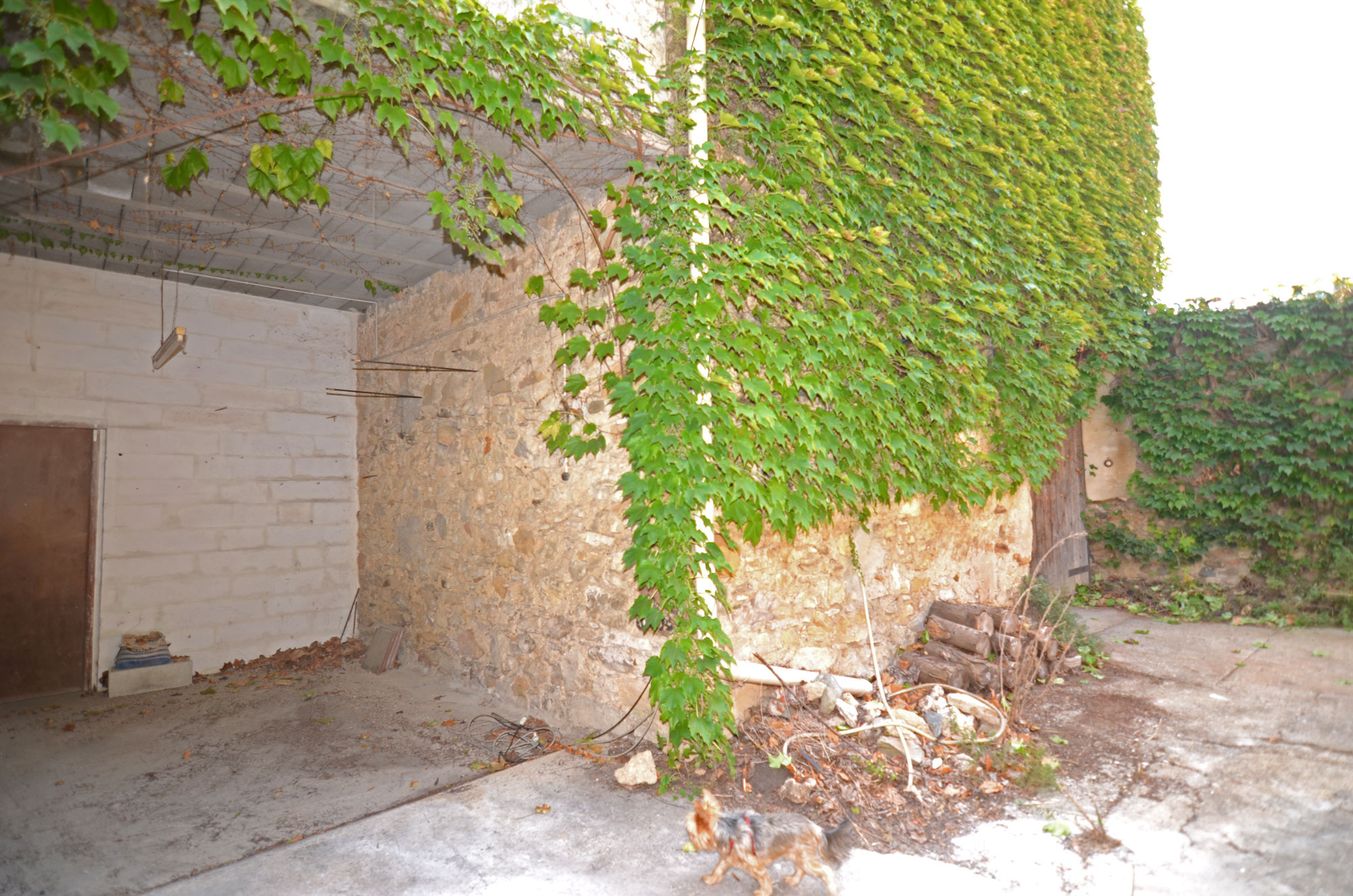 1388BI_espace_exterieur.jpg